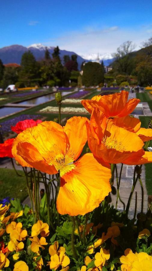 Il Portico Lejlighed Baveno Eksteriør billede